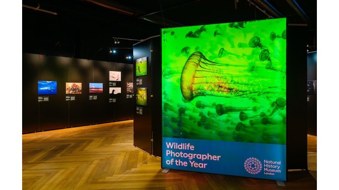 WILDLIFE PHOTOGRAPHER OF THE YEAR 2025