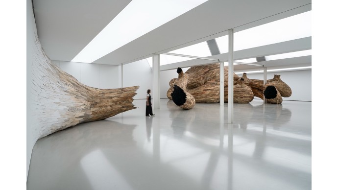 ANATOMY OF PRESENCE – VIVIAN CACCURI, LUCIA KOCH, HENRIQUE OLIVEIRA